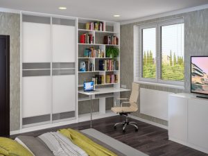 Шкаф-купе с библиотекой