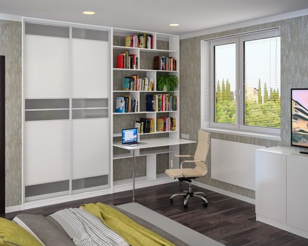 Шкаф-купе с библиотекой