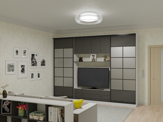 Шкаф-купе с нишей под телевизор