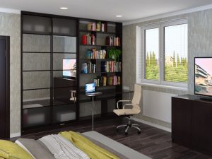 Шкаф-купе с библиотекой