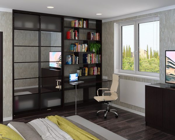 Шкаф-купе с библиотекой