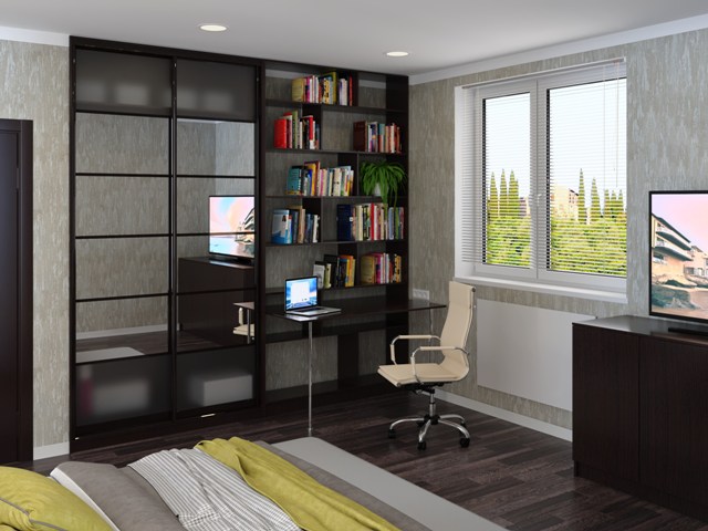 Шкаф-купе с библиотекой